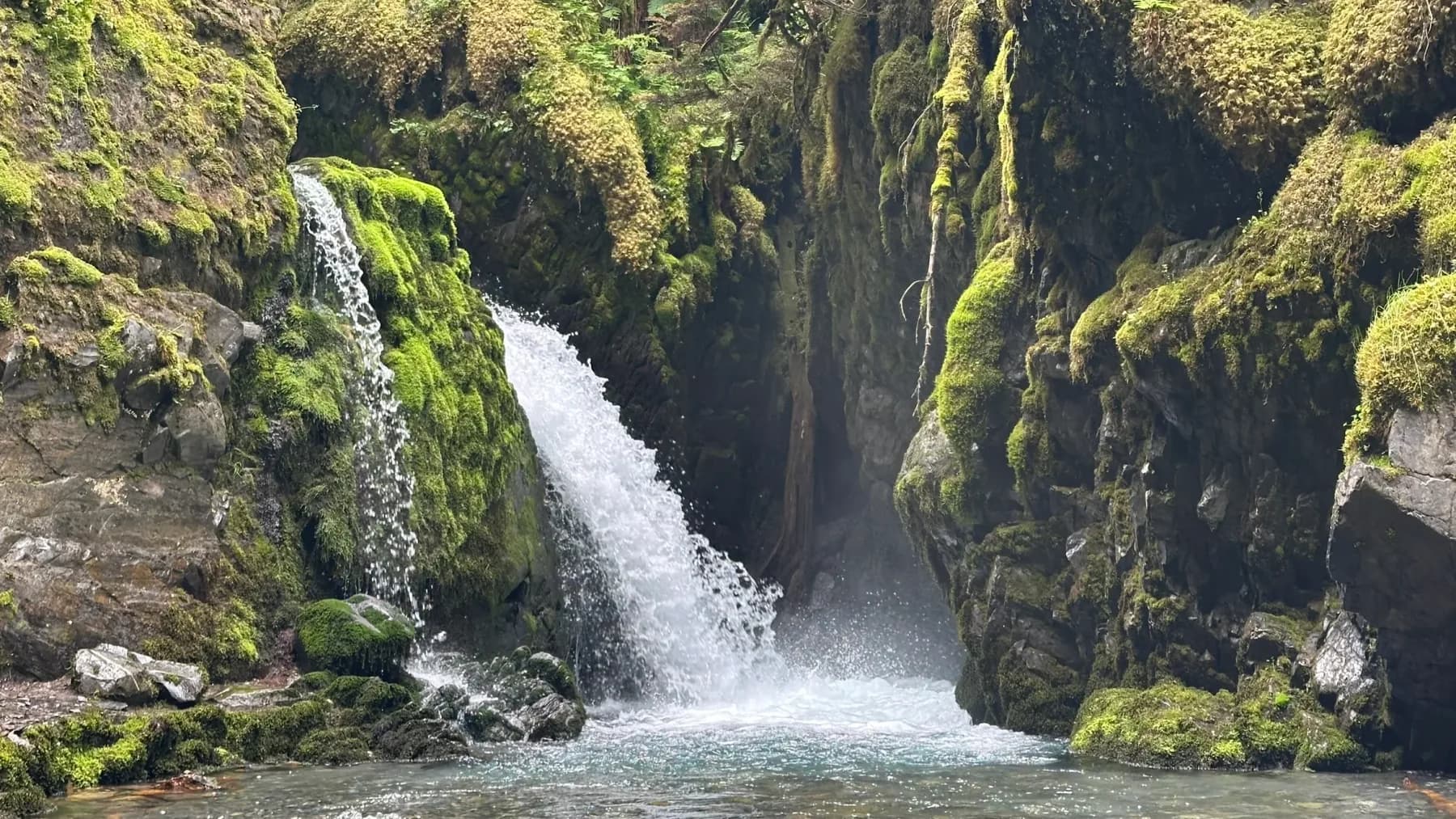 Virgin Creek Falls dropping into a mossy rainforest gorge near Girdwood