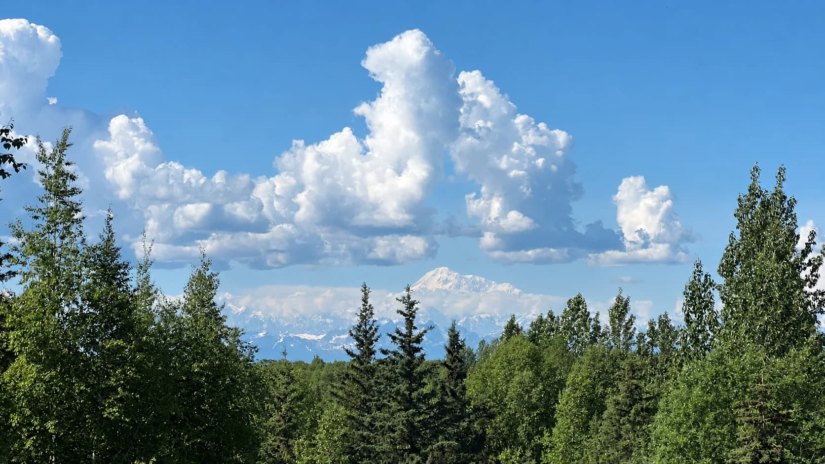 Denali above the clouds, seen from the Talkeetna area on a clear day